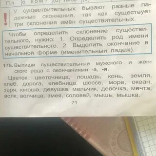 Выпиши слова мужского рода