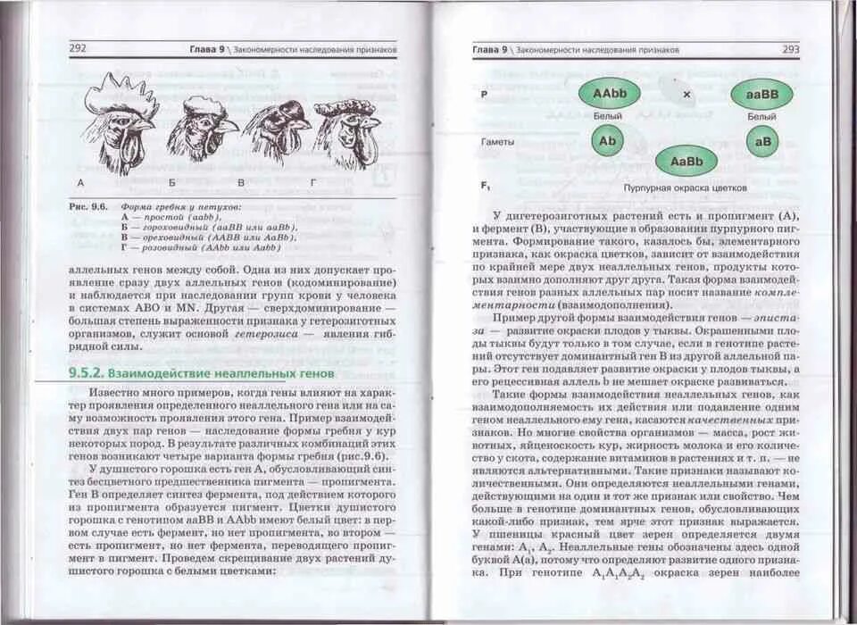 Темы по биологии 10 11. Биология 10 класс учебник Захаров. Биология 10-11 класс учебник Захаров. Профильная биология 10 класс учебник. Биология 10 класс Агафонова.