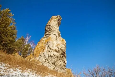 Бык красноярск