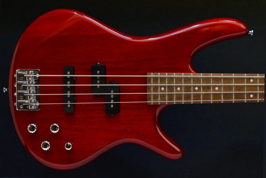 Какая гитара лучше для новичка. Ibanez gsr200. бас ибанез. бас гитара ибанез. ibanez srg 200.