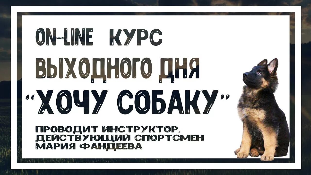 Хочется собаку. Хочу собаку Карусель. Хочу собаку. Хочу собаку штафирка щенка.