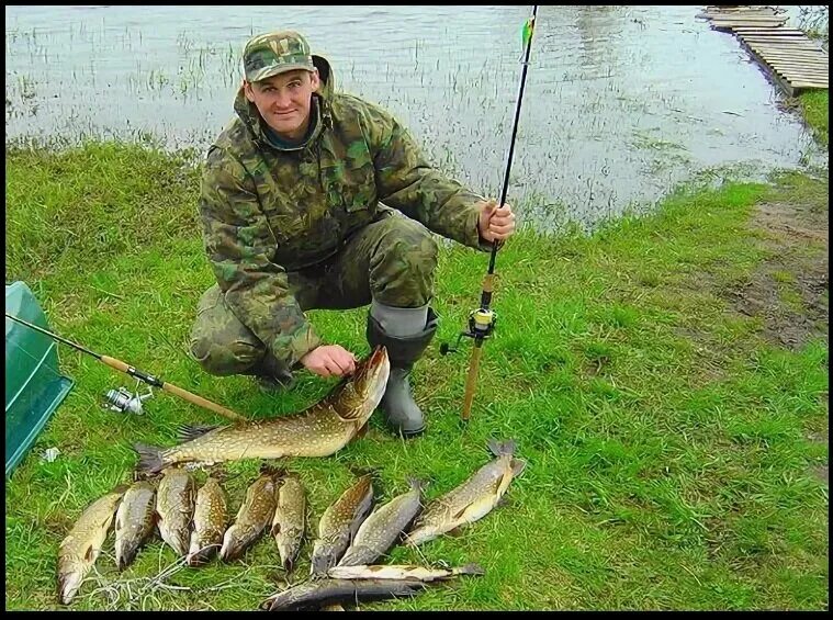 Рыбак в камуфляже. Профессиональный Рыбак. Рыболов в камуфляже. Камуфляж рыбы.