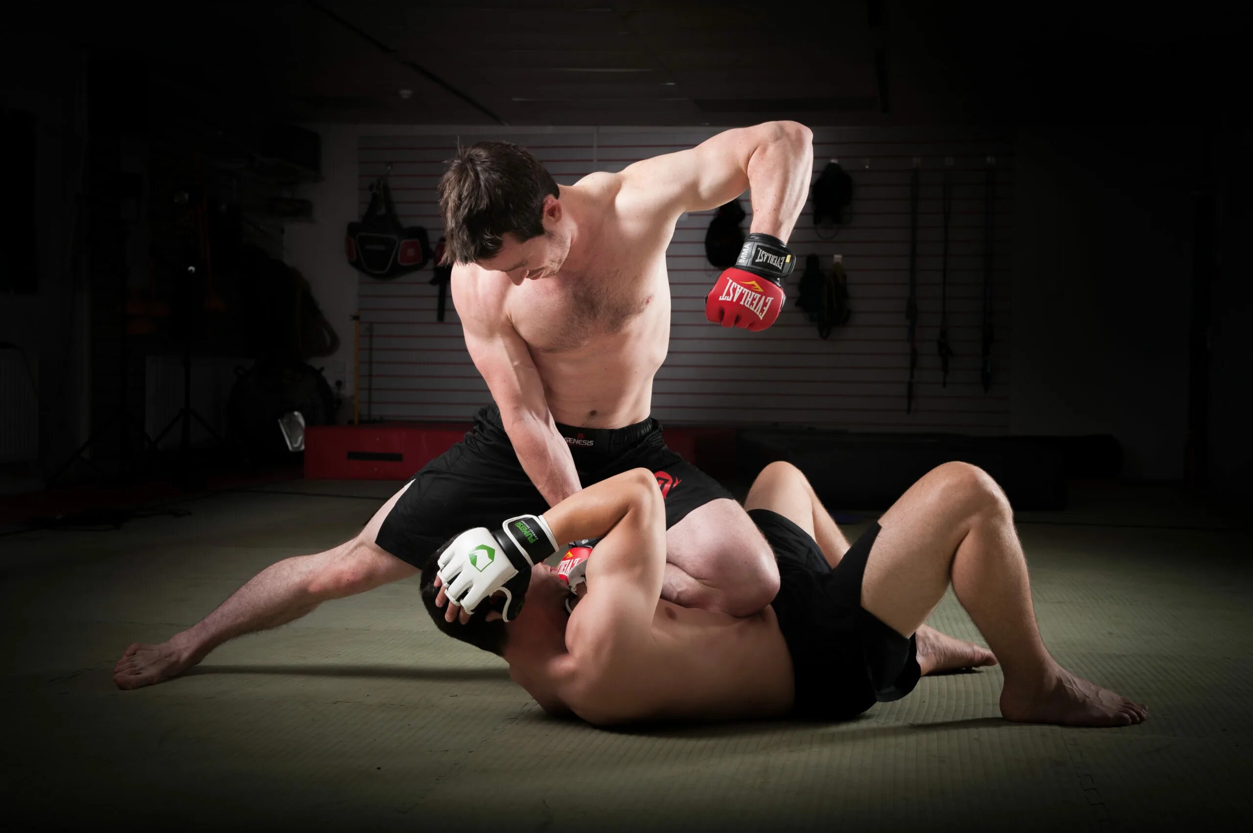 Виды боевых искусств. Смешанное боевое единоборство мма. Грэпплинг ноу ги. Бразильский спорт джиу джитсу. Айкидо это японское боевое искусство.