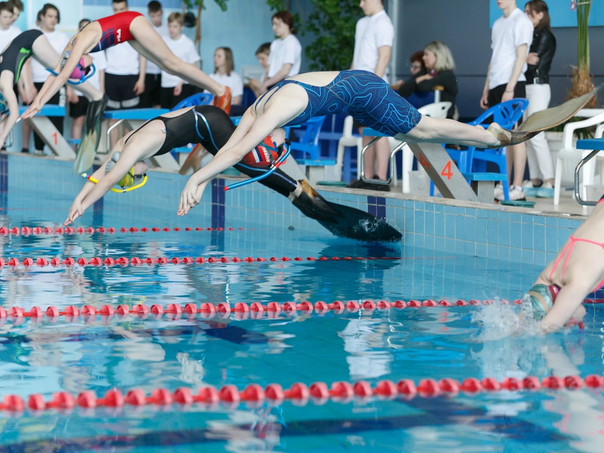 Места для плавания. Плавание в ластах спб. Подводное плавание. Соревнования по подводному плаванию. Соревнования по подводному плаванию в ластах.