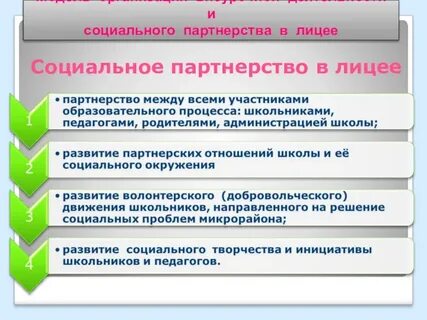Социальный лицей
