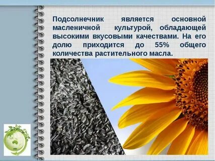 Известно что подсолнечник масличный