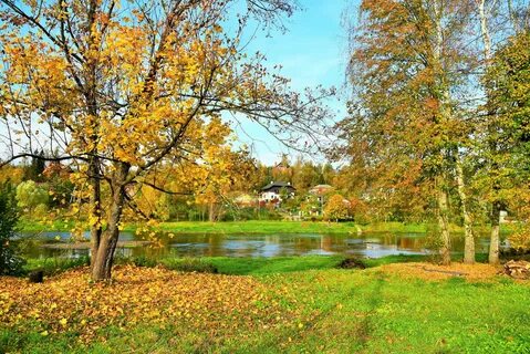 Видное осенью