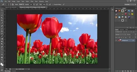 Фотошоп закрыли