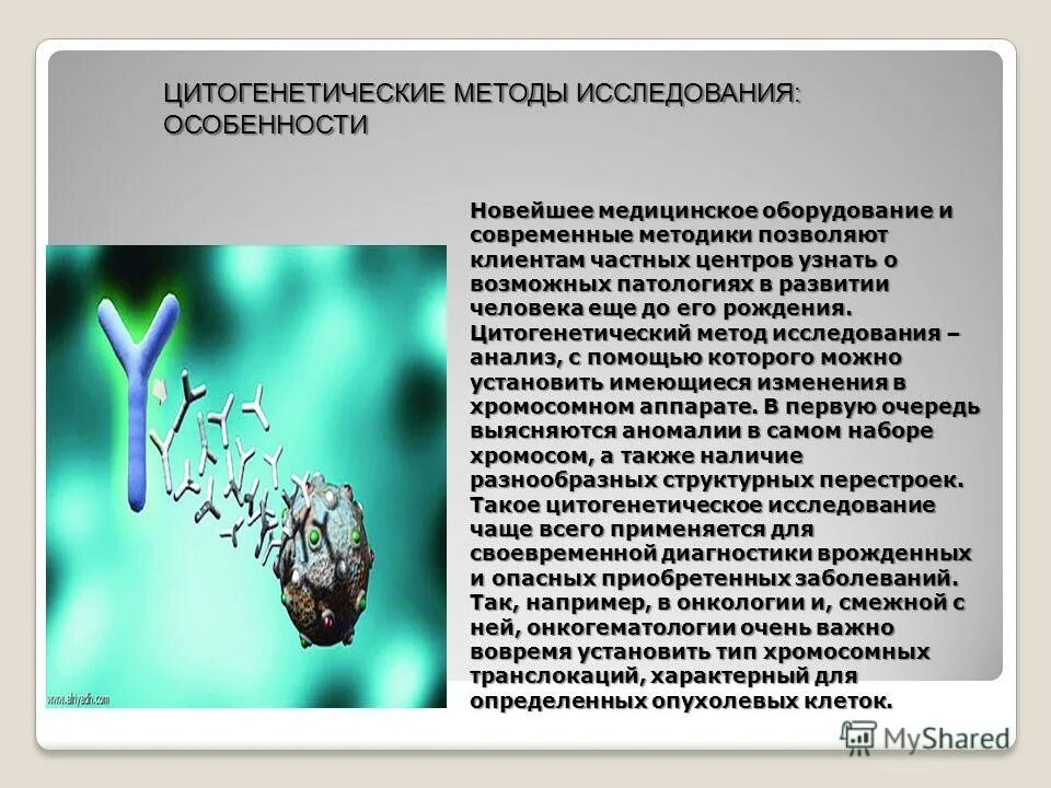 Цитогенетический метод исследования. Цитогенетический метод наследственные заболевания