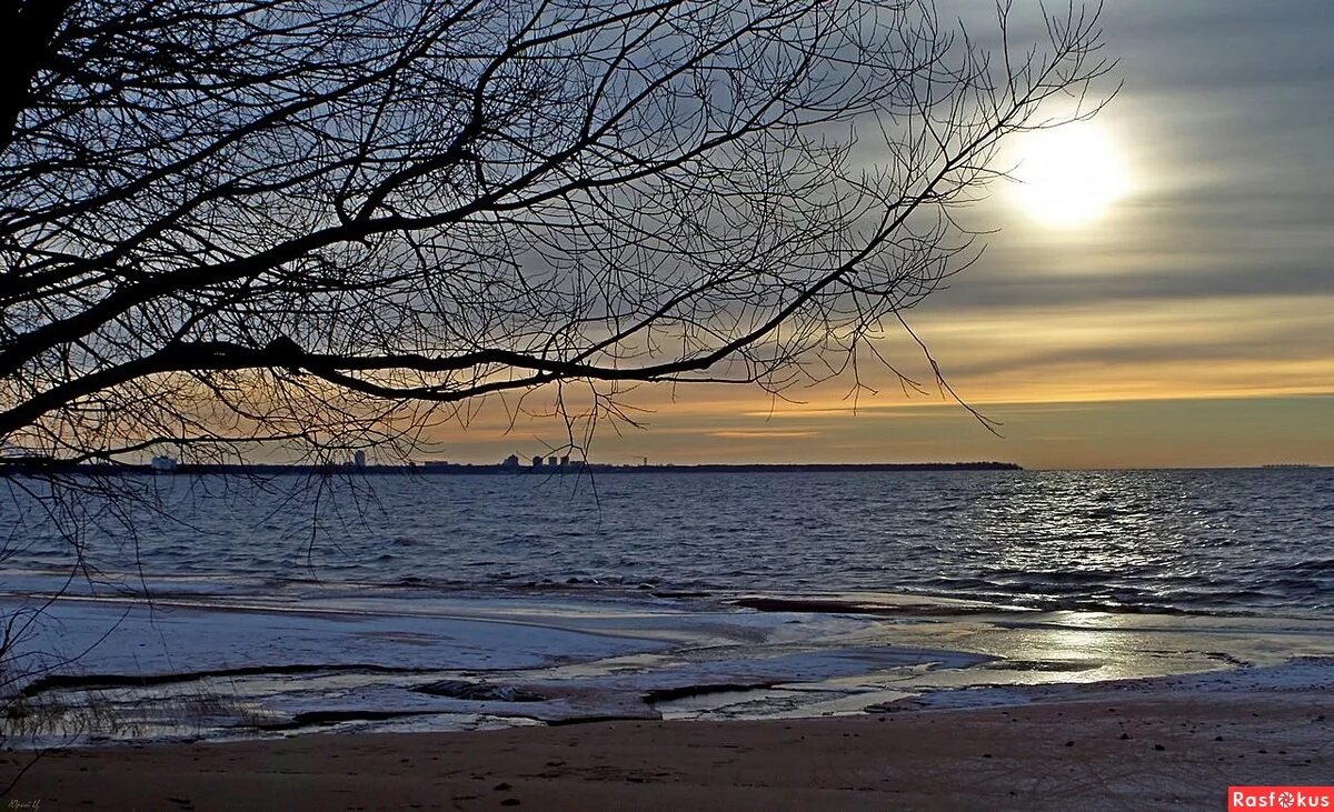 погода репино на 14 дней. поселок репино улица финляндская. погода репино на 14 дней. берег финского залива репино. ул финляндская репино.