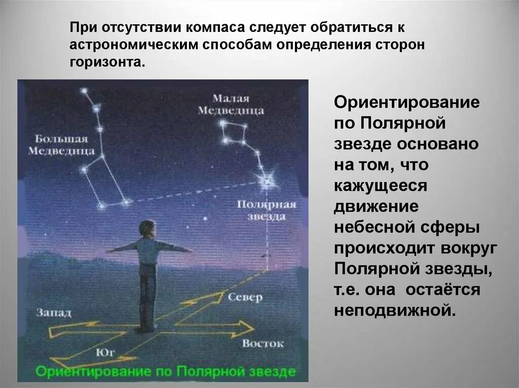 Если вечером встать лицом к солнцу. Как ориентироваться в лесу. Ориентирование в лесу. Какморентирываться в лесу. Ориентирование на местности в лесу.