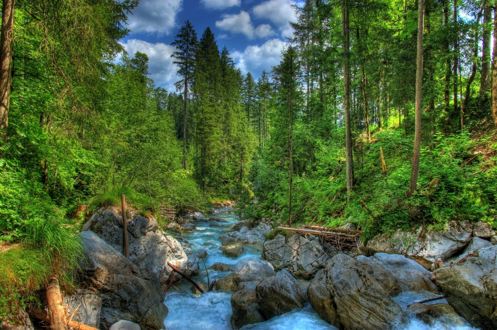 Обои на телефон природа вертикальные высокого качества. Природа ручей лес Россия. Хвойный лес река камни. Красивый лес. Пейзаж лес.