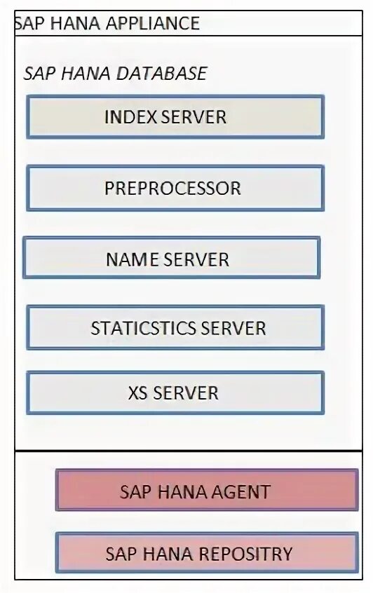 Sap database. Sap database