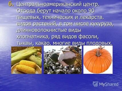 Культурные растения центральноамериканского центра