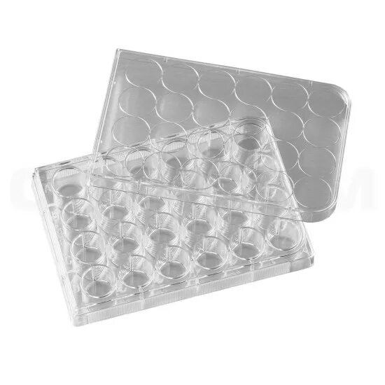 стеклянная посуда для культивирования клеток. планшет лунок,"u"-образн. планшет культуральный 6-луночный. 24 well. посуда для культивирования клеток.