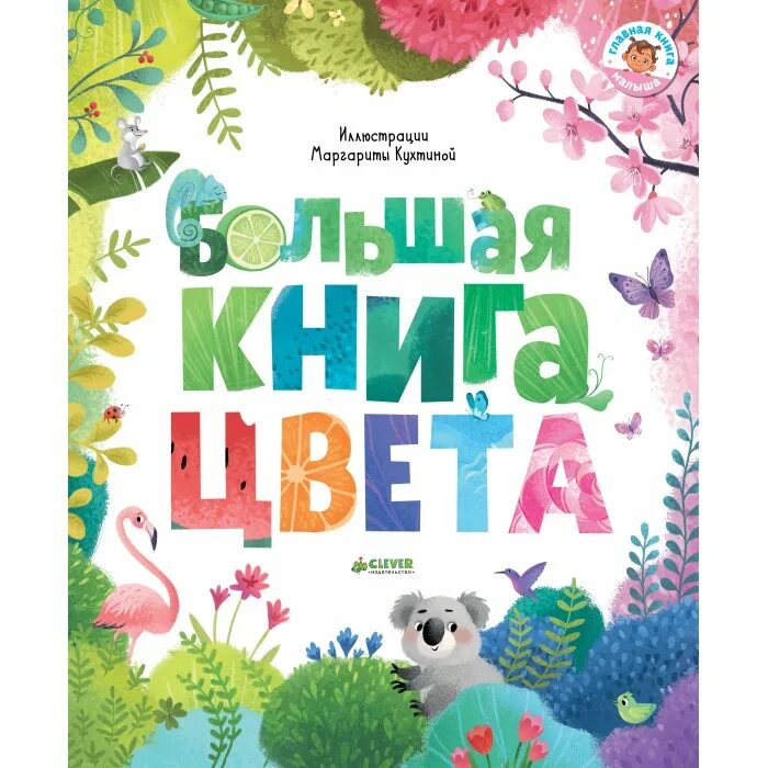 Clever book. Большая книга цвета clever. клевер цвета книга. интересные детские книги. обложка книги для детей.