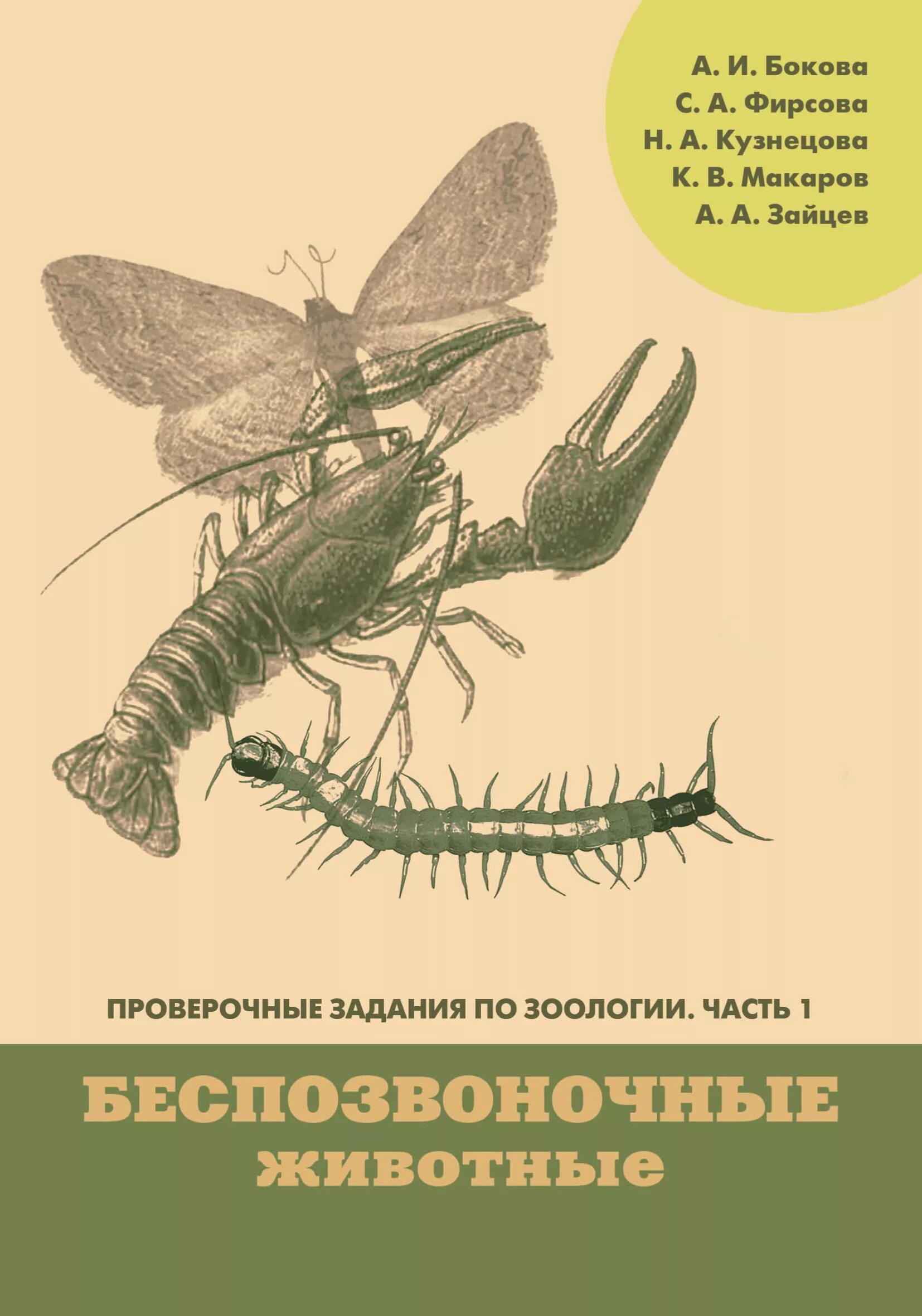 Книги про зоологию. Проверочные задания по зоологии. Часть 1. беспозвоночные животные. Зоология беспозвоночных. Справочник по зоологии. Книга беспозвоночные животные.