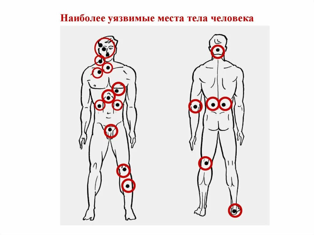 Уязвимые стороны. Уязвимые места тела человека. Наиболее уязвимые места на теле человека. Слабые места человека. Самое уязвимое место у человека.