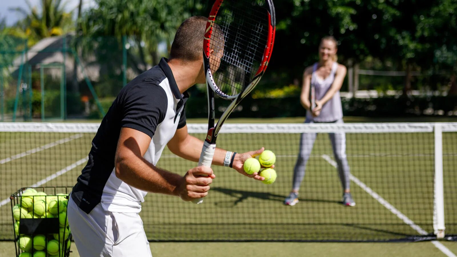 Уимблдон 2020. Игра "большой теннис". Где играют в теннис. Где играют в теннис. Теннис вид спорта.