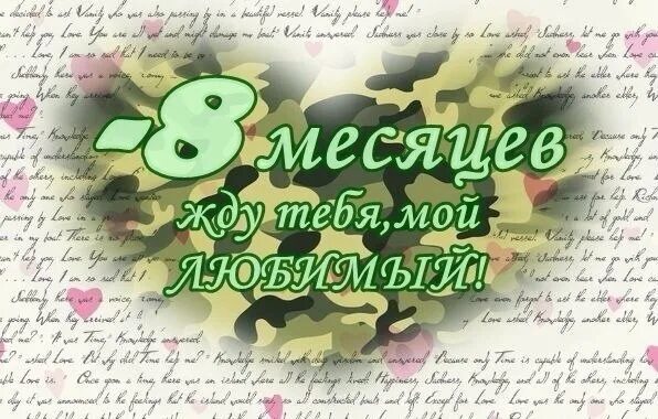 Месяцы службы в армии картинки. 9 Месяцев службы. Три месяца службы в армии. 9 Месяцев отслужили. Отслужили 3 месяца службы.