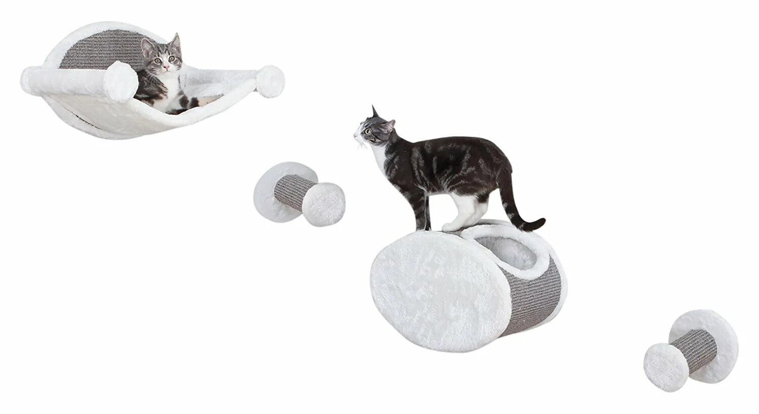 Cat set