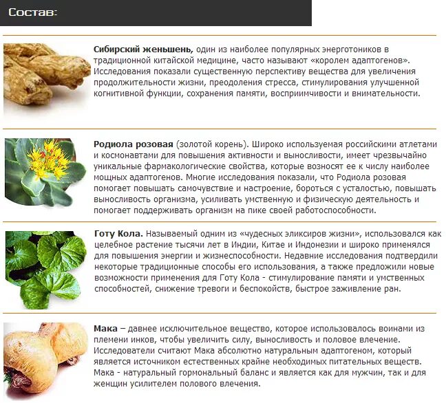 Как правильно принимать женьшень. Золотой корень женьшень. Йохимбин и Сибирский женьшень. Влияние женьшеня. Действие женьшеня на организм.