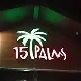 15 palms. Пальмы на красной площади фото. Пальмы сумерки. Цикас саговая пальма. 15 palms.