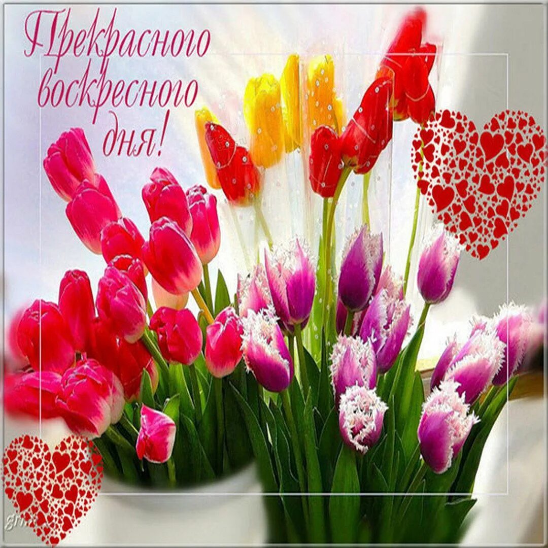 С воскресным добрым утром и прекрасного дня. Доброго воскресного дня. отличного воскресного дня. хорошего воскресного дня и прекрасного настроения. открытки с добрым воскресным днем.