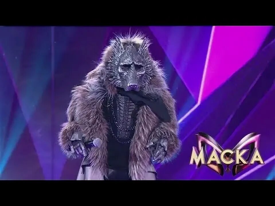 Енот все выступления. Енот все выступления
