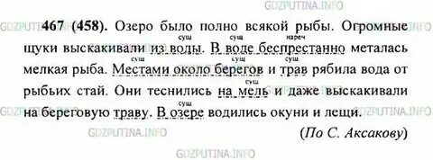 Русский 5 класс упражнение 370. Изложение по русскому языку 7 класс ладыженская. Разумовская 7 класс русский язык содержание. Русский язык 7 класс номер 467. Русский язык седьмой класс страница 186 упражнение 467.