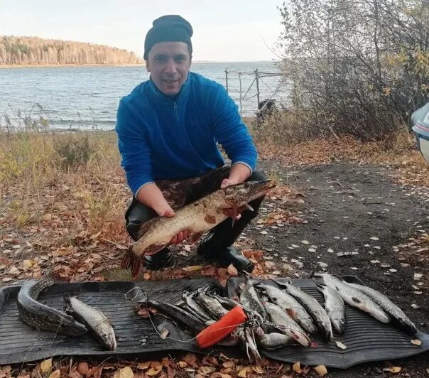 Аргазинское водохранилище рыбалка. Рыбалка на Аргази озеро в Челябинской. Аргази озеро рыбалка. Аргази озеро рыба.