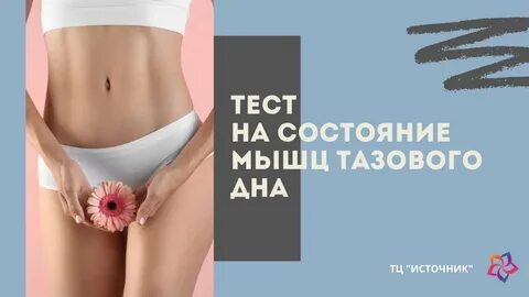 Тазовые мышцы у женщин