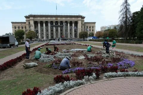 Алма день