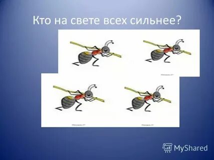 Сильнее всех 1
