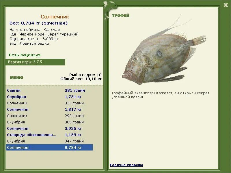 солнечник саркомастигофоры. лучевики радиолярии. русская рыбалка солнечник серебристый. Acanthocystis antonkomolovi. саркодовые солнечники.