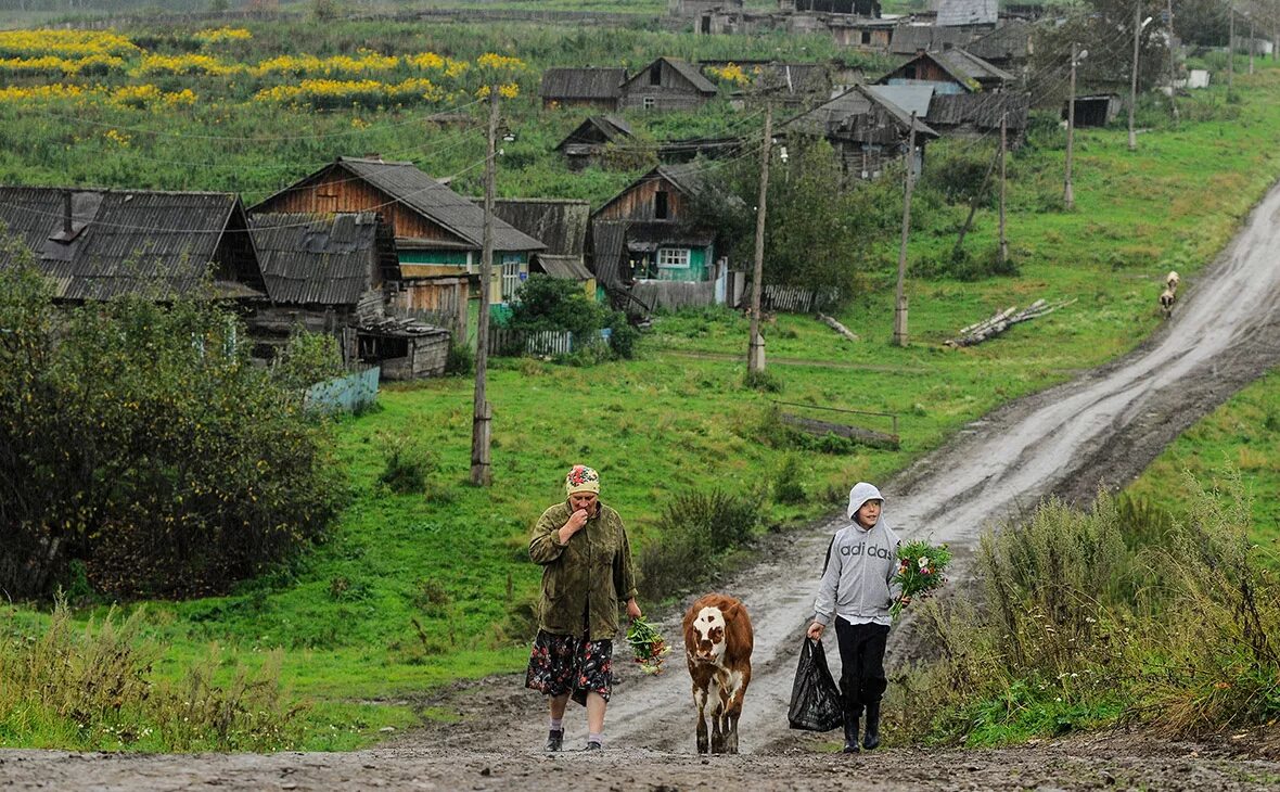 Село небритое