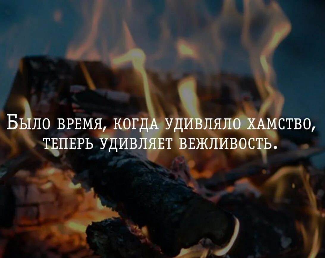 Грубость и невоспитанность. Высказывания о хамстве. цитаты про грубость. афоризмы на тему хамства. цитаты про хамство.