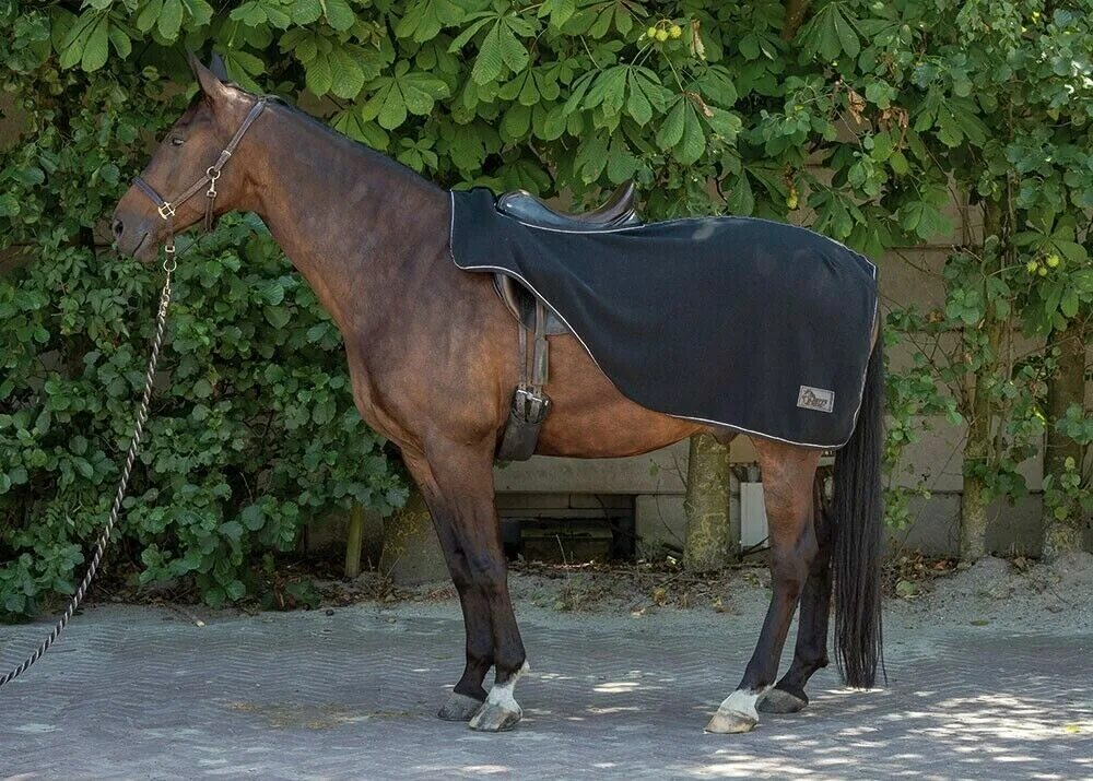 Попона лошадиная покрывало. Harry horse попона флисовая. Покрытая ковром лошадь. Покрывало для лошади. Покрывало для лошади 6 букв.
