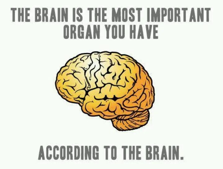 Brain name
