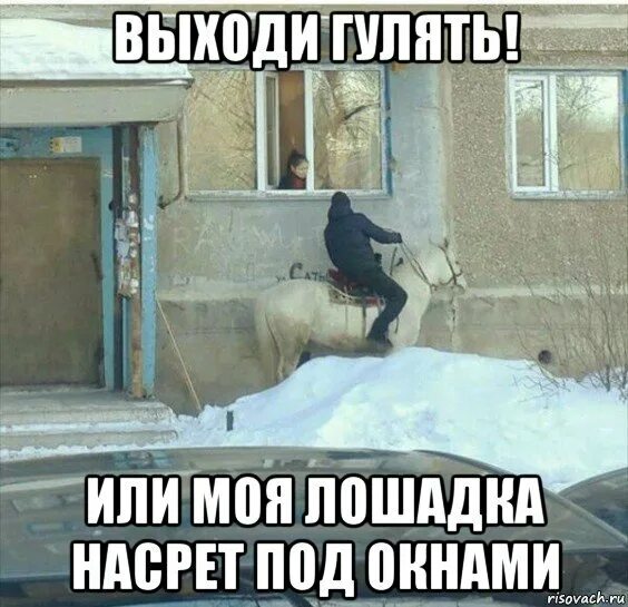 Вышел из дома и не вернулся. Выходи гулять. Зовут гулять под окном. Гулять гулять гулять. Гулять прикол.