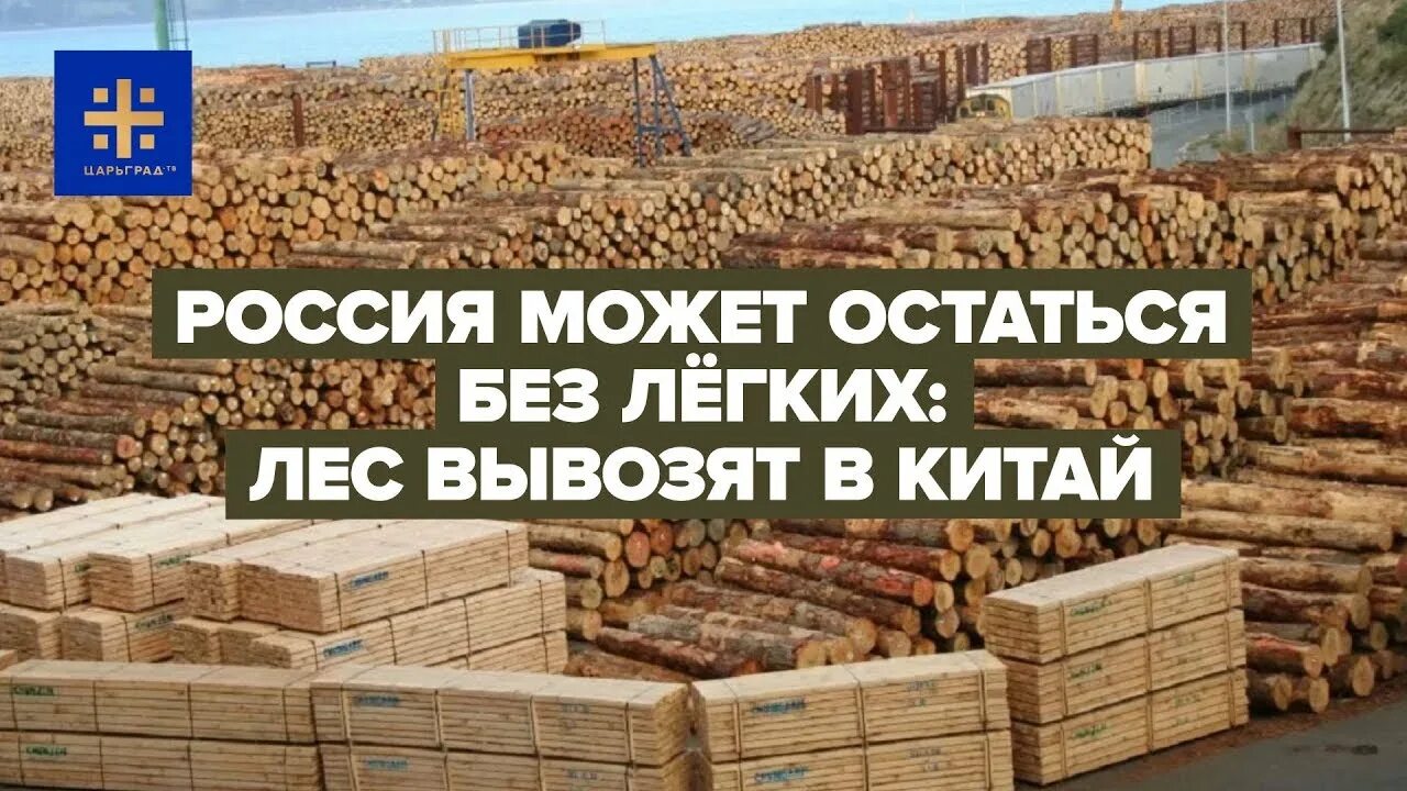 Сколько леса вывозит. Китайцы вывозят лес из россии. Заготовка древесины. Китайцы вырубают лес в россии. Экспорт лесоматериалов в китай.