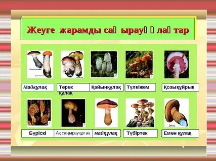 Секс порно домашнее трахают