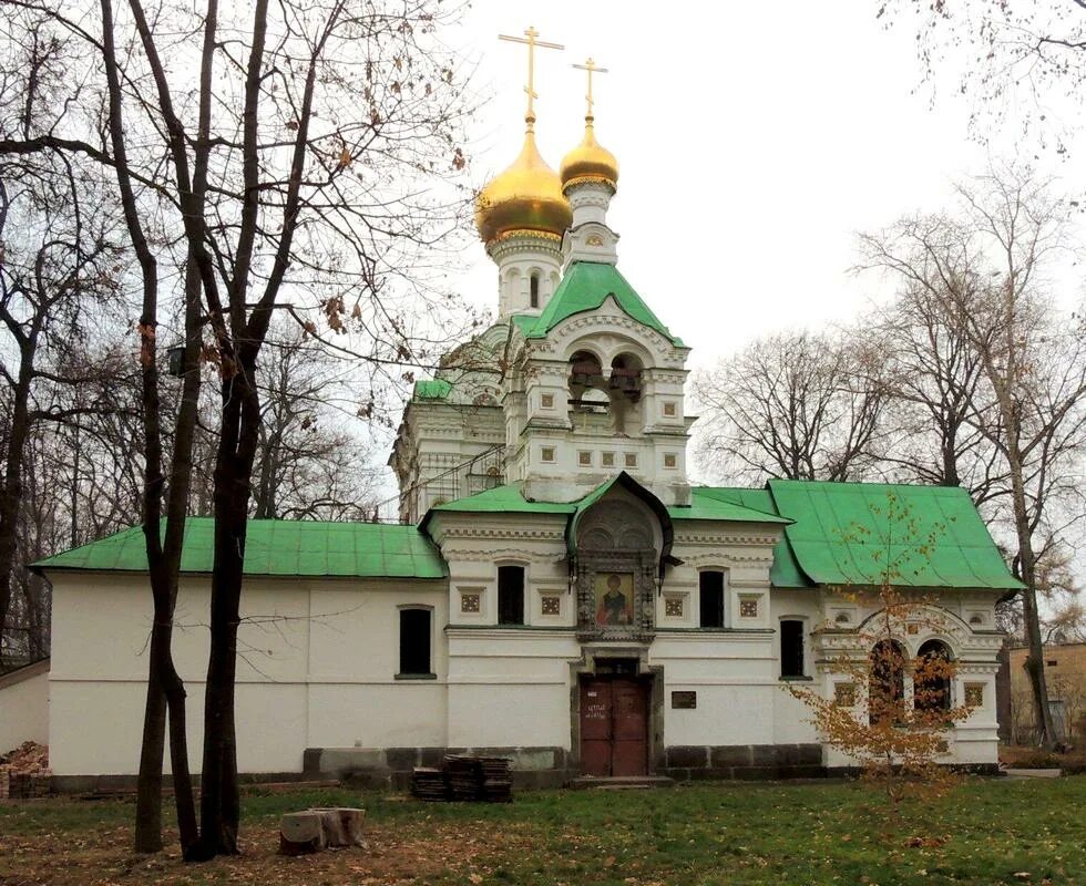 Детская больница святого. Церковь Троицы Живоначальной Владимир. Храм Живоначальной Троицы при больнице св. Владимира. Храм Живоначальной Троицы в Сокольниках. Церковь Святого Владимира в Москве Сокольники.