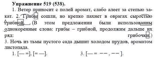 Русский язык 5 класс упражнение 538. Русский язык 5 упражнение 519. Русский язык 5 класс ладыженская упражнение 519.
