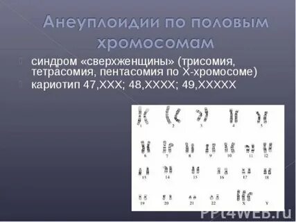 Кариотип 22