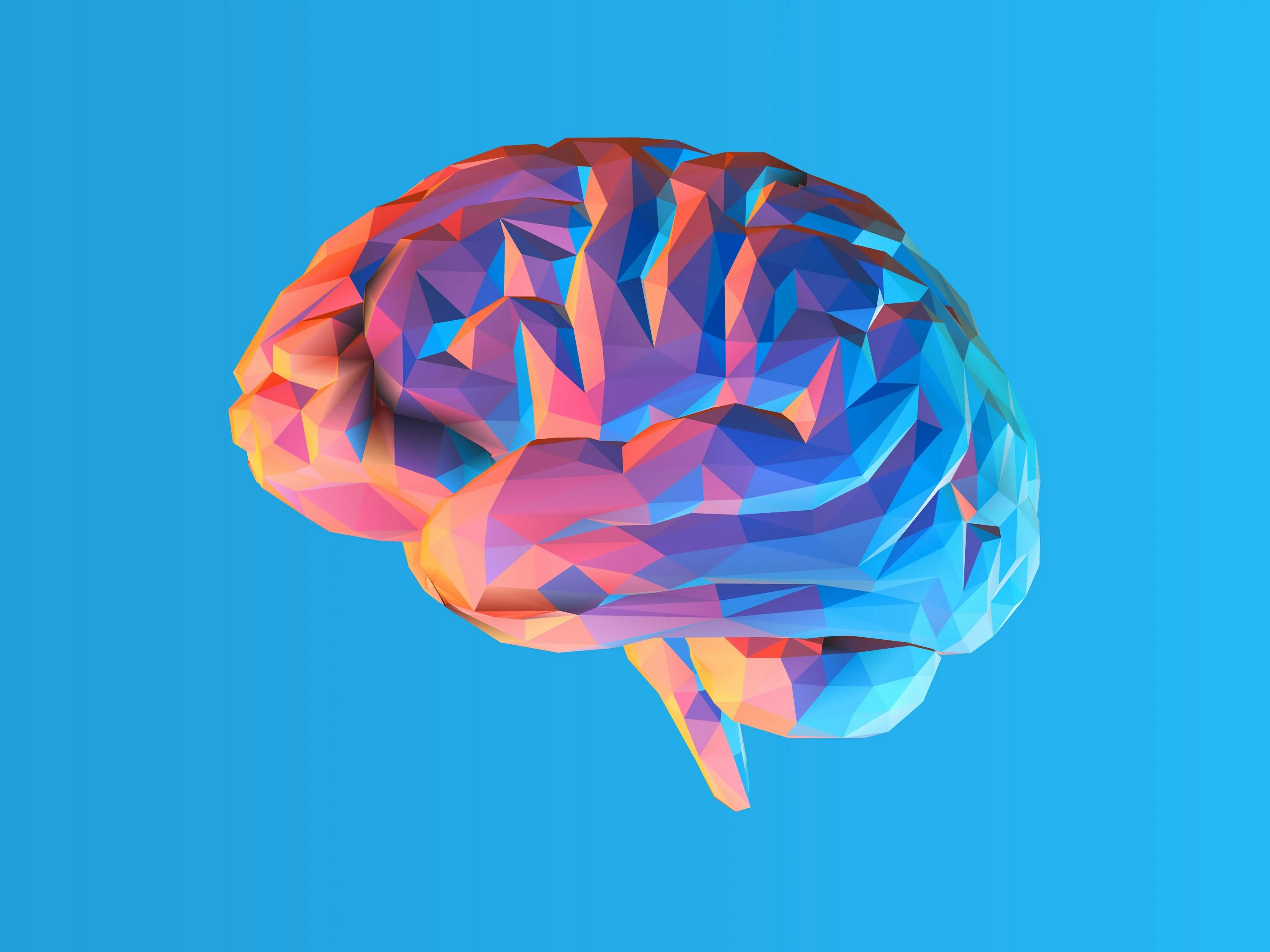 Brain is the most beautiful