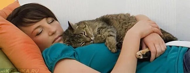 Почему кот ложится на живот. Кошка лежит на человеке. кошка спит с хозяйкой. кот лежит на хозяине. кот лечит хозяина.