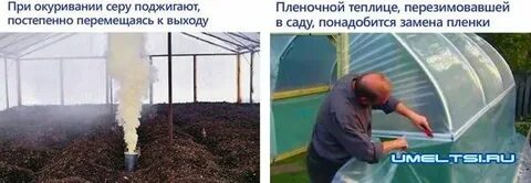 Когда обрабатывать теплицу серной шашкой осенью
