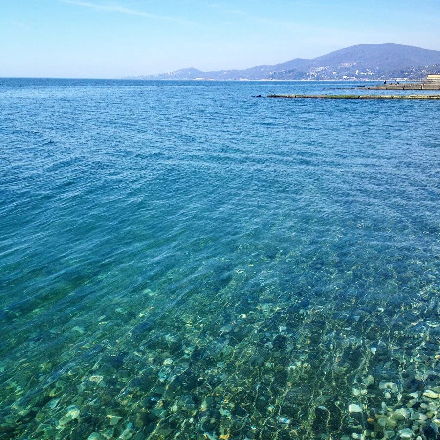 Море кунем. Море черное море адлер. сочи адлер черное море. ,hyjtg jht.