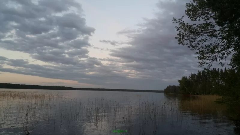 Озеро 11 13